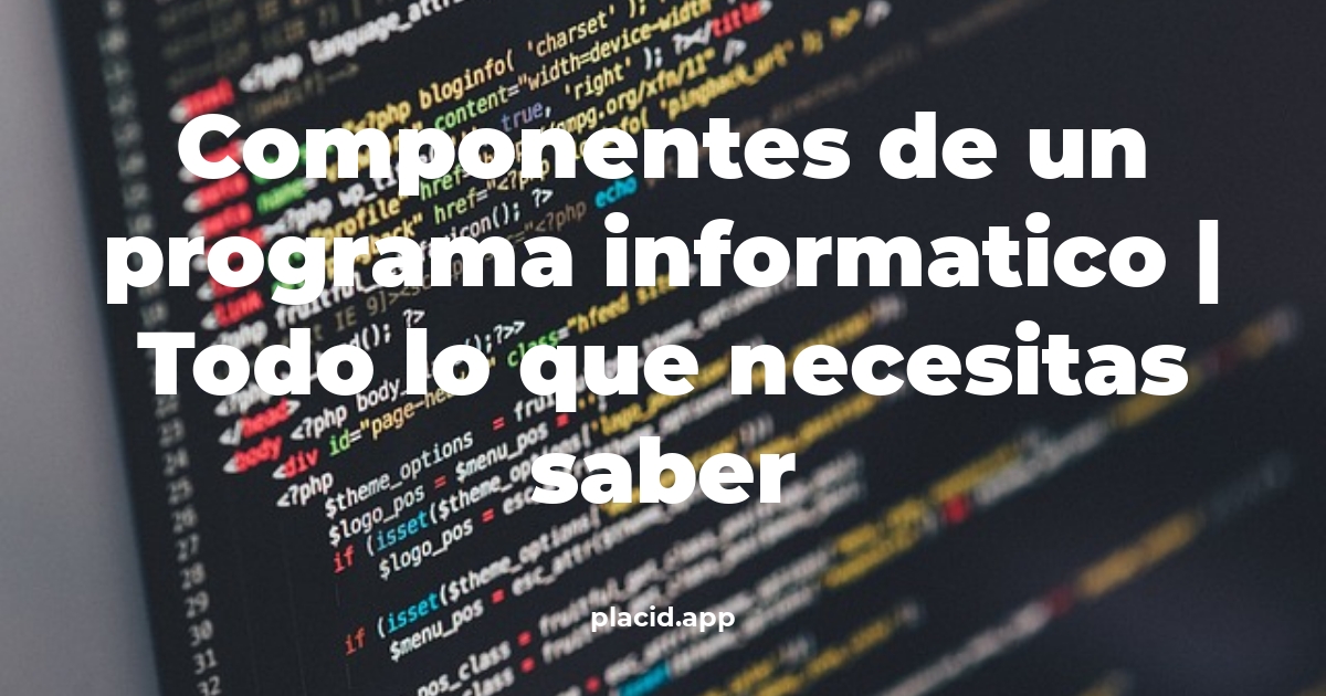 componentes de un programa informatico