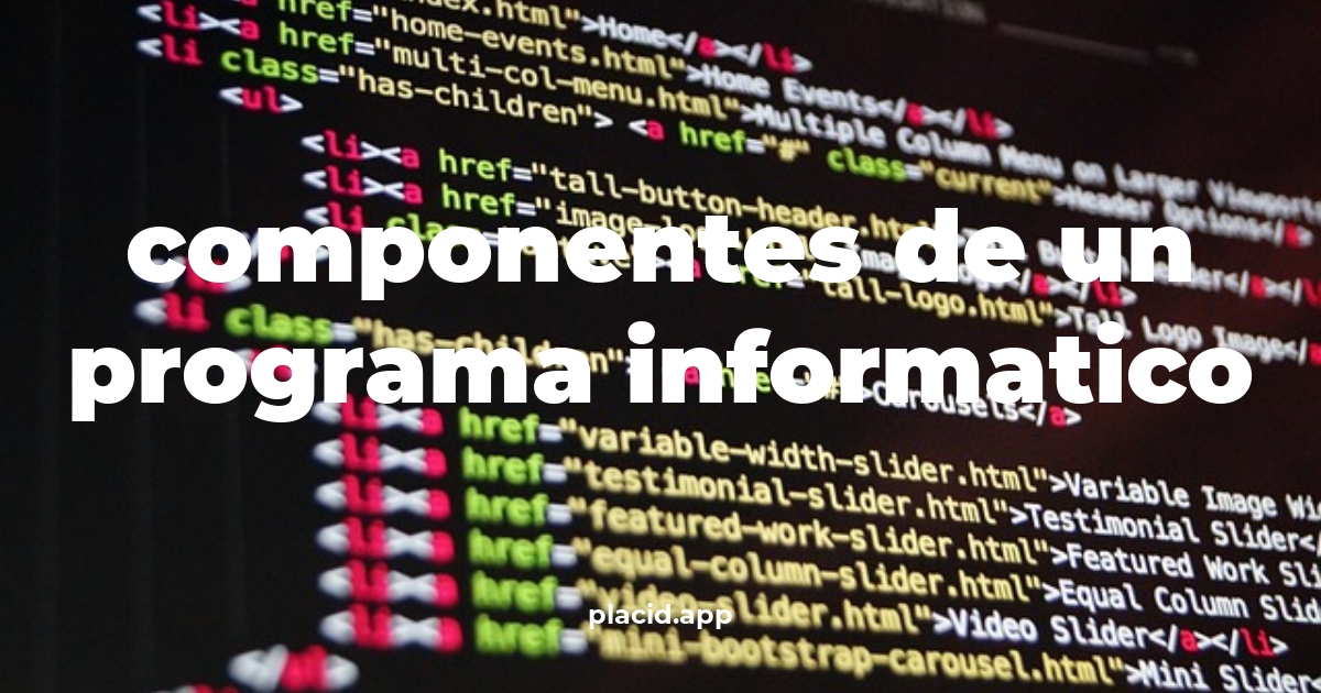 Componentes de un programa informatico | Todo lo que necesitas saber