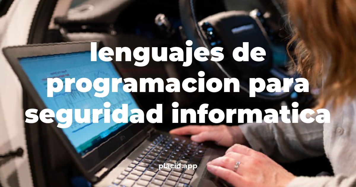 Lenguajes de programacion para seguridad informatica | 8 Respuestas interesantes