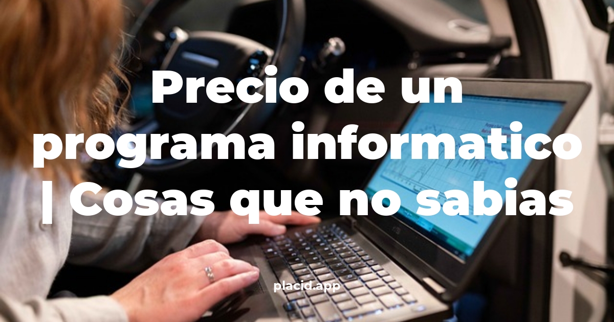 precio de un programa informatico