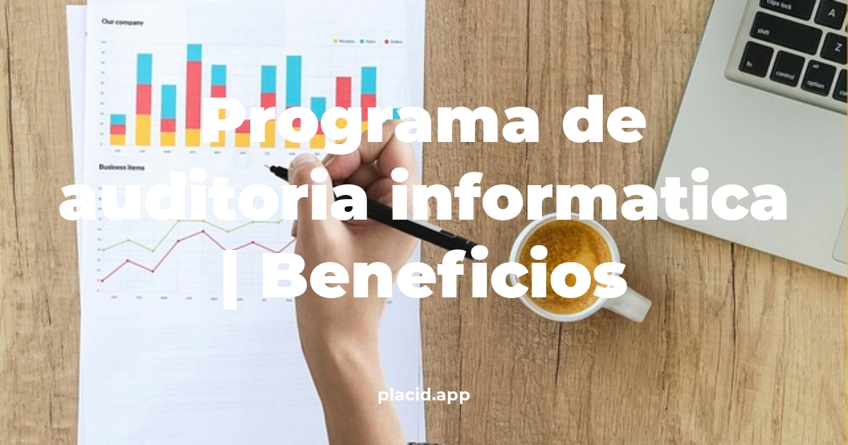 programa de auditoria informatica