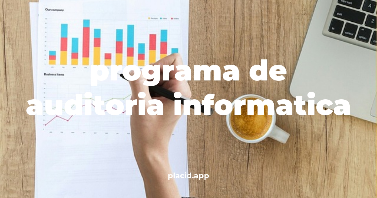 Programa de auditoria informatica | Beneficios