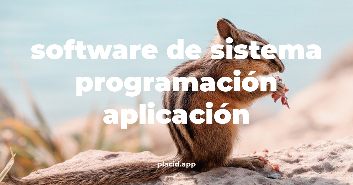 Software de sistema programación aplicación | Todo lo que necesitas saber