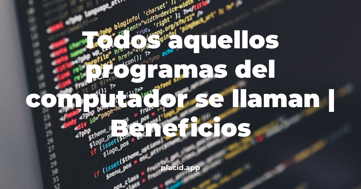 todos aquellos programas del computador se llaman