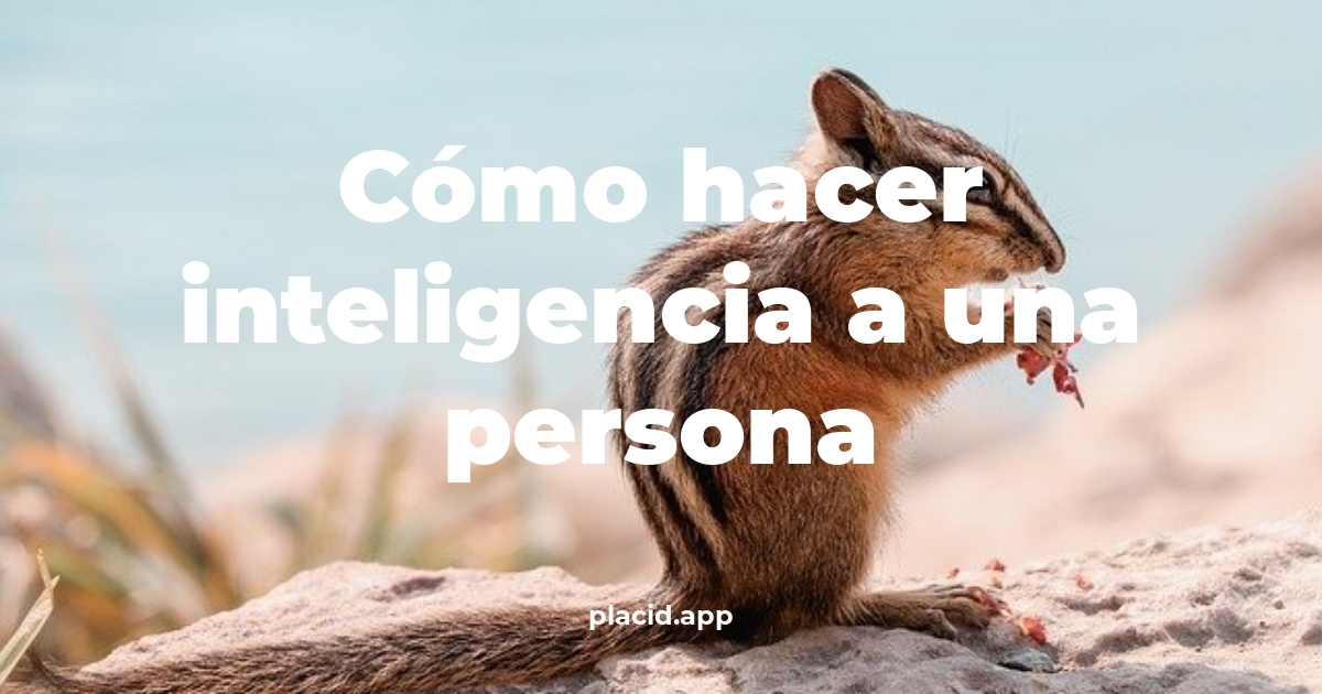 Cómo hacer inteligencia a una persona | 8 Respuestas interesantes