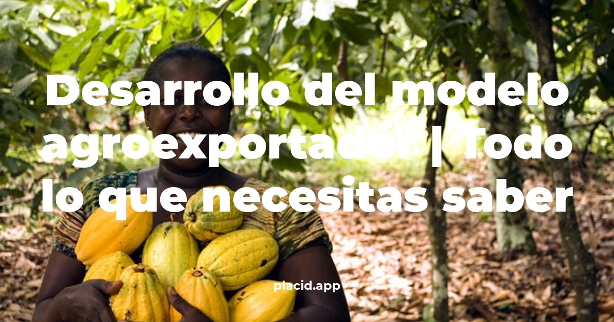 desarrollo del modelo agroexportador