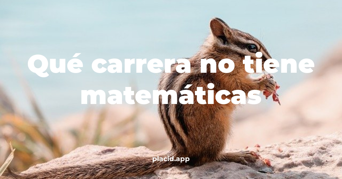 Qué carrera no tiene matemáticas | 8 Curiosidades