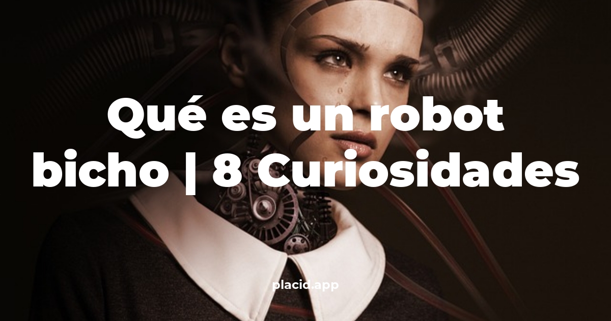 Qué es un robot bicho