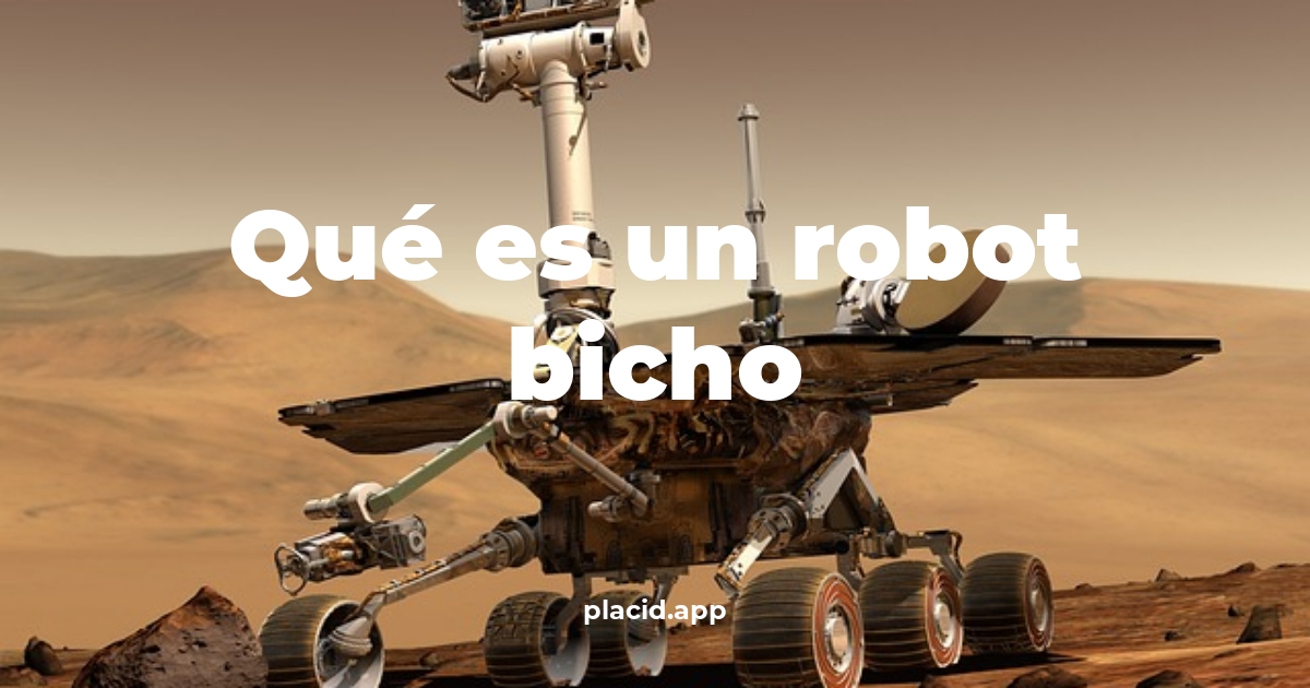 Qué es un robot bicho | 8 Curiosidades