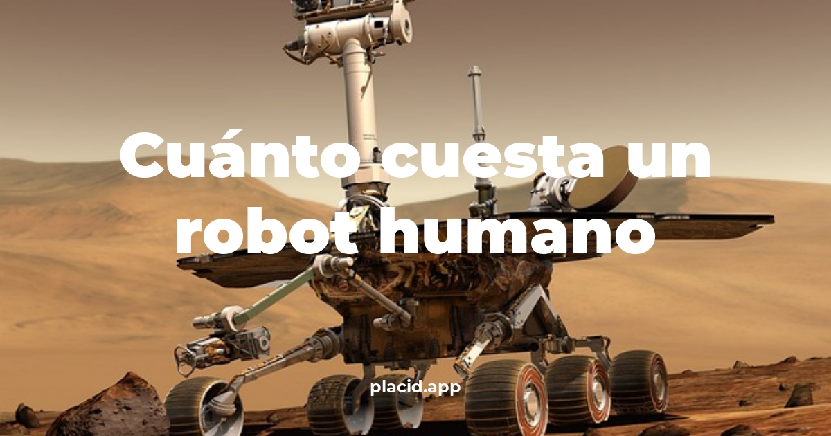 Cuánto cuesta un robot humano | Cosas que no sabias