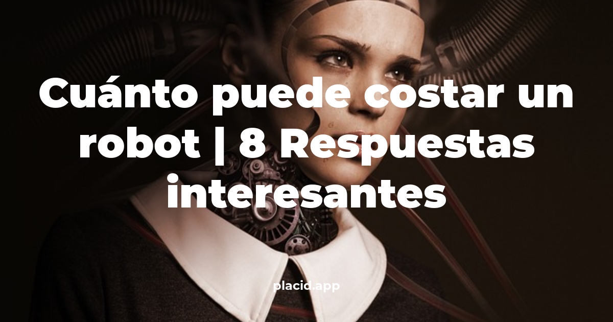 Cuánto puede costar un robot