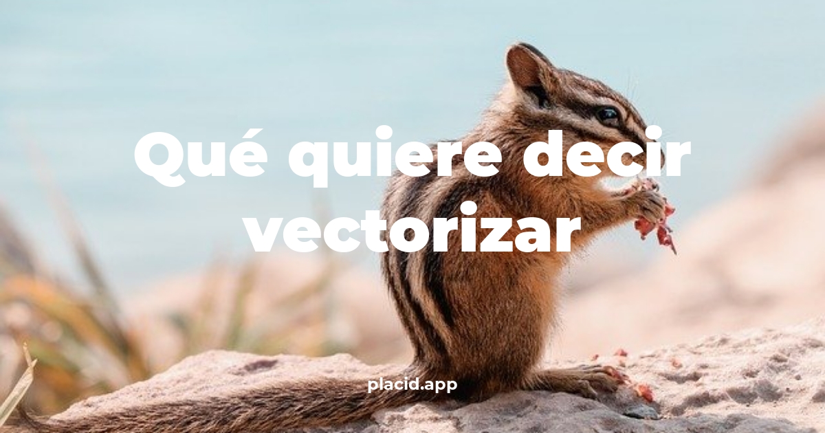 Qué quiere decir vectorizar | 8 Respuestas interesantes