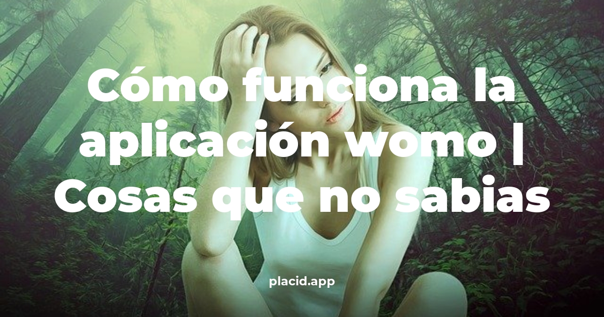 Cómo funciona la aplicación WOMO