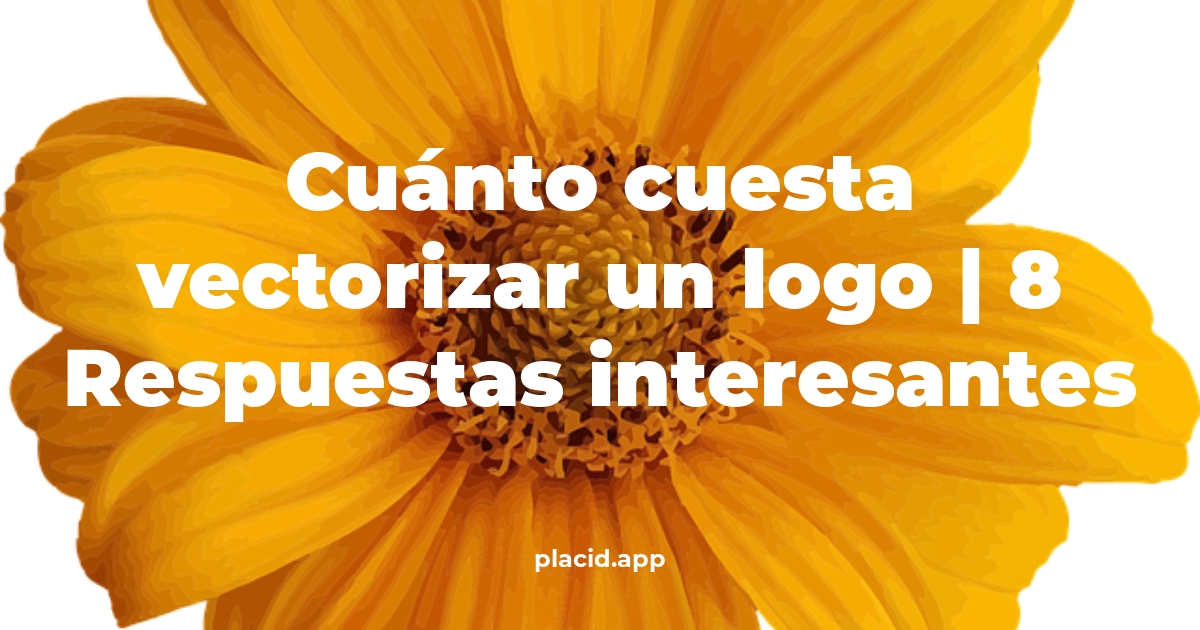 Cuánto cuesta vectorizar un logo
