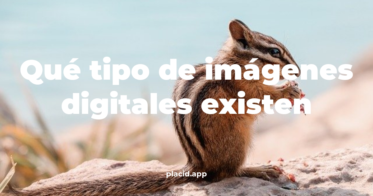 Qué tipo de imágenes digitales existen | Todo lo que necesitas saber